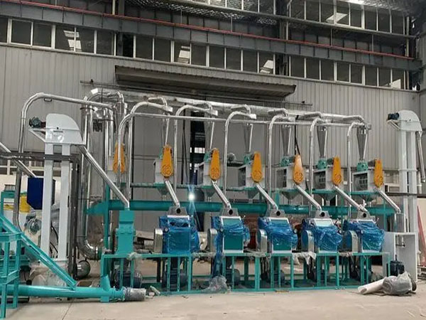 <a href=http://http://m.belaedu.com.cn/product/6/ target=_blank class=infotextkey>玉米加工機械</a>