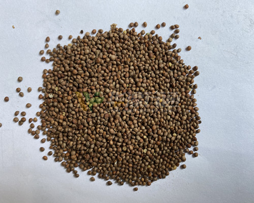 紫蘇籽脫皮機(jī)