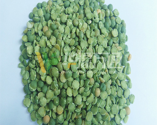 <a href=http://m.belaedu.com.cn/product/8/ target=_blank class=infotextkey>豌豆脫皮機</a>